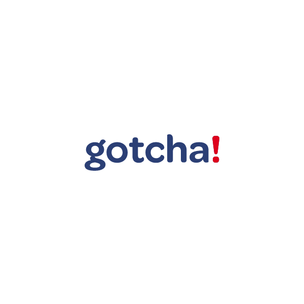 Digital Marketing Reporting Dashboard with gotcha!Analytics™